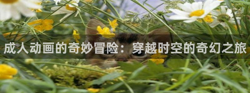 橘子动漫网站