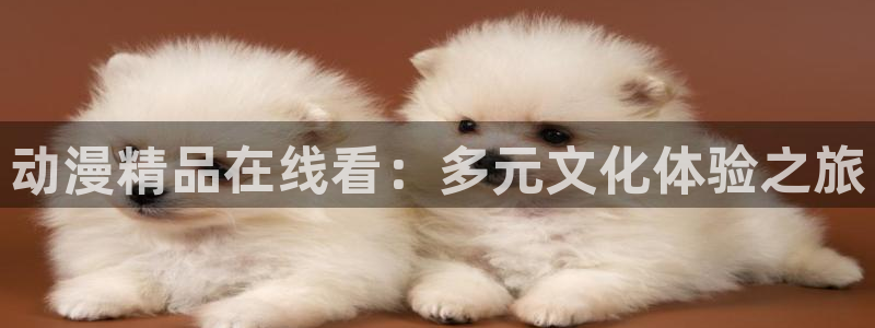 铁头与橘子动漫全集